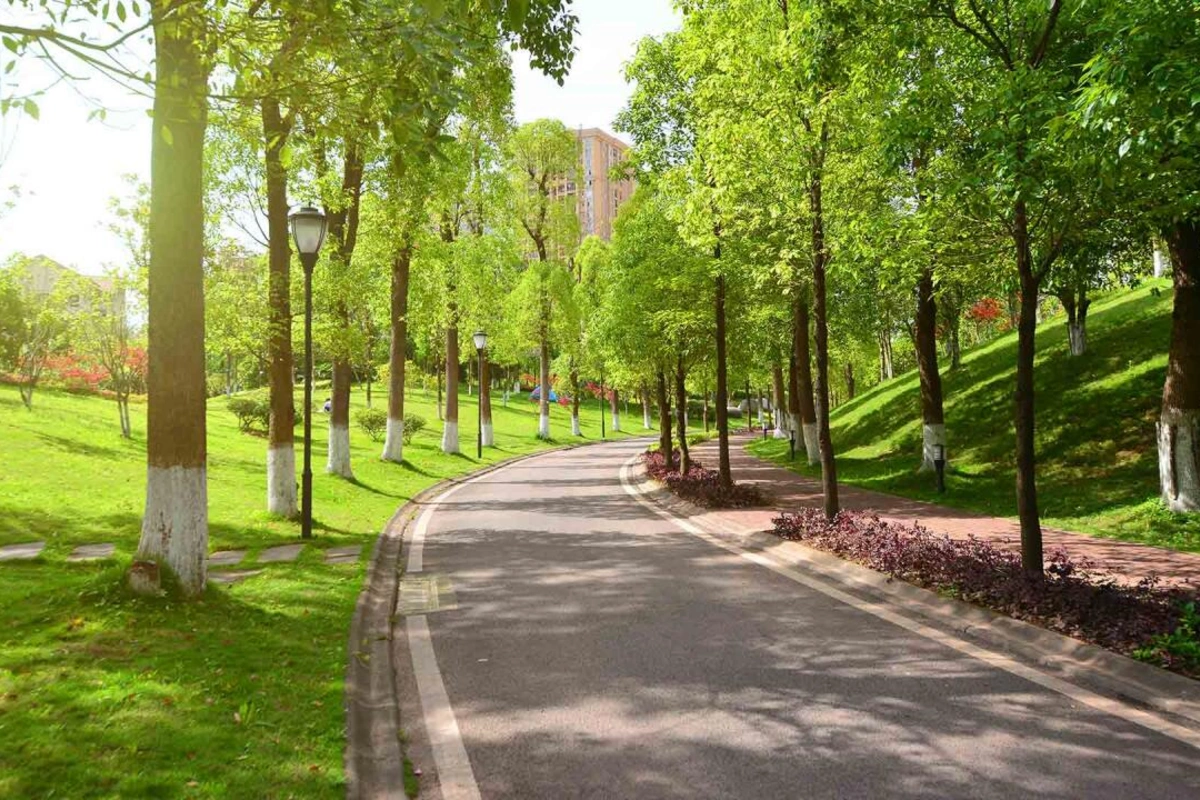 A huge park is being created in Baku