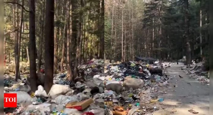 1748909558_It-smells-horrible-Kasol-once-the-jewel-of-Parvati-Valley.jpg