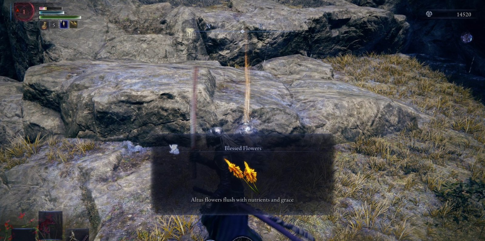 Blessed Flowers in an Expedition in Elden Ring Nightreign