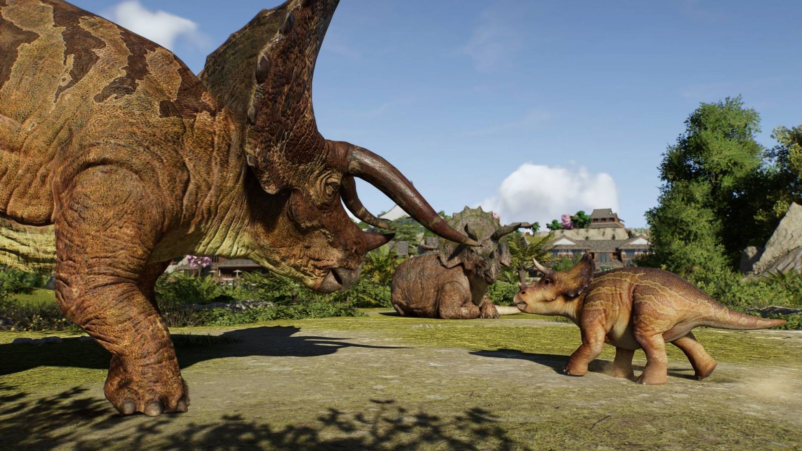 Three triceratops, two adults and a baby, stand in a plains area