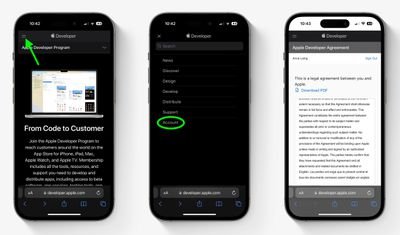 dev program