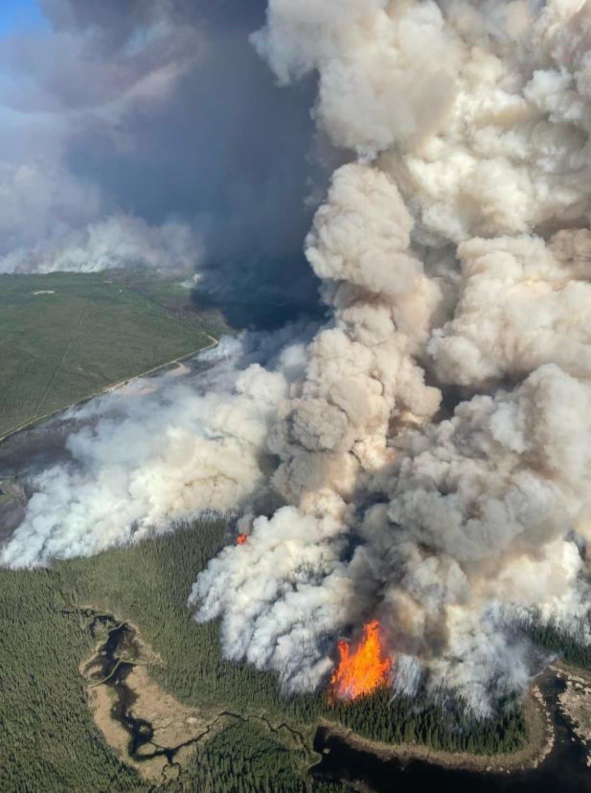 Flames and smoke shoot up out of a green forest.