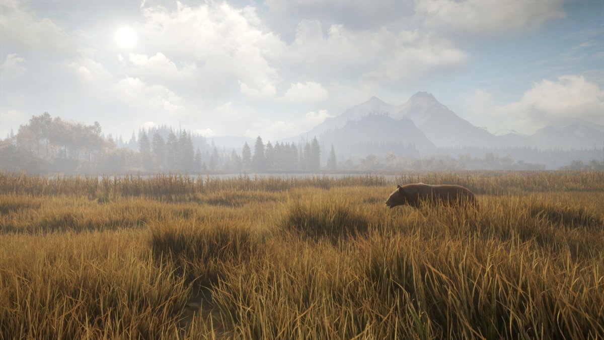 the hunter the hunter