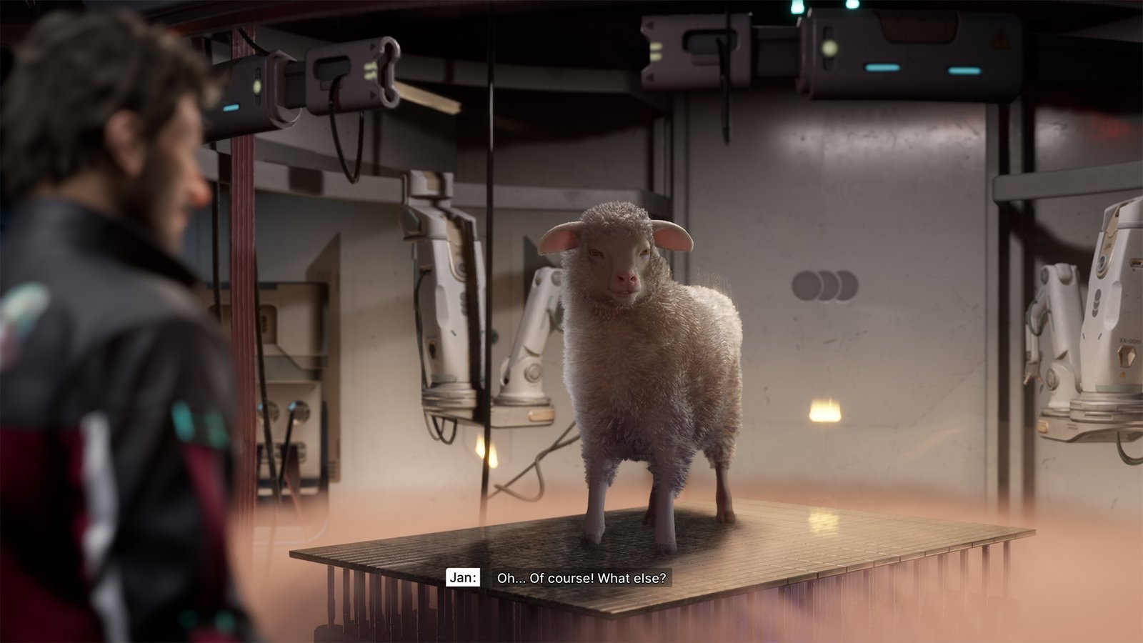 Jan Dolski looking at a sheep in The Alters.