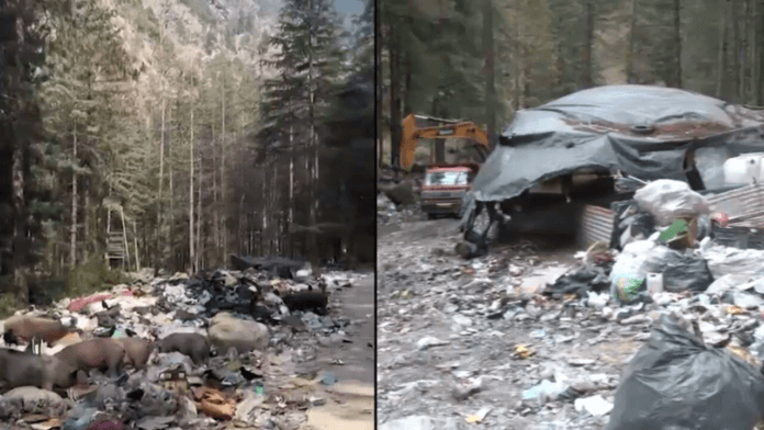 Kasol-Garbage-buried-in-Himachal-forest-after-viral-video-of.png