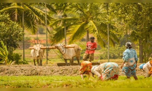 PM-KISAN-20th-instalment-update-Check-beneficiary-details-and-payment-timeline.jpg