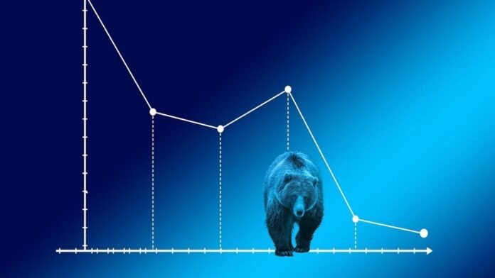bear-market-pixabay_1735882704172_1756376132252.jpg
