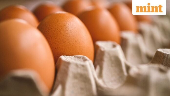 Eggs_1758094021009_1758094021213.jpg
