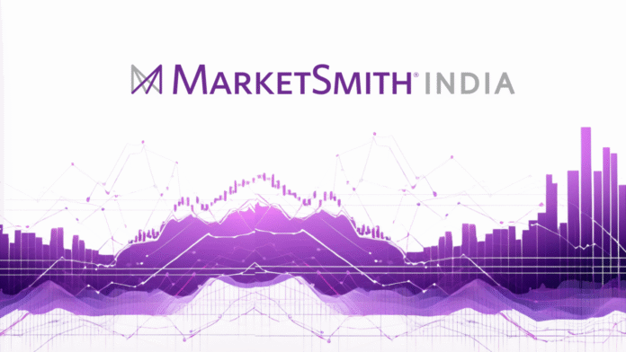 MS_1755693310577_1755693317448_1761871542925.png