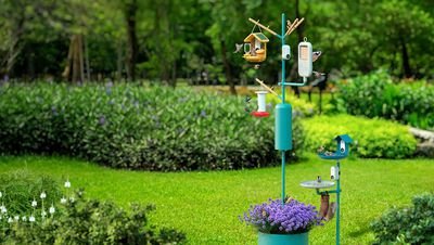 bird-buddy-pole.jpg
