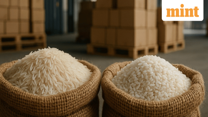 rice_1763097899996_1763097900168.png