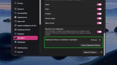 spotlight-clipboard-history-settings-26-1402x.jpg